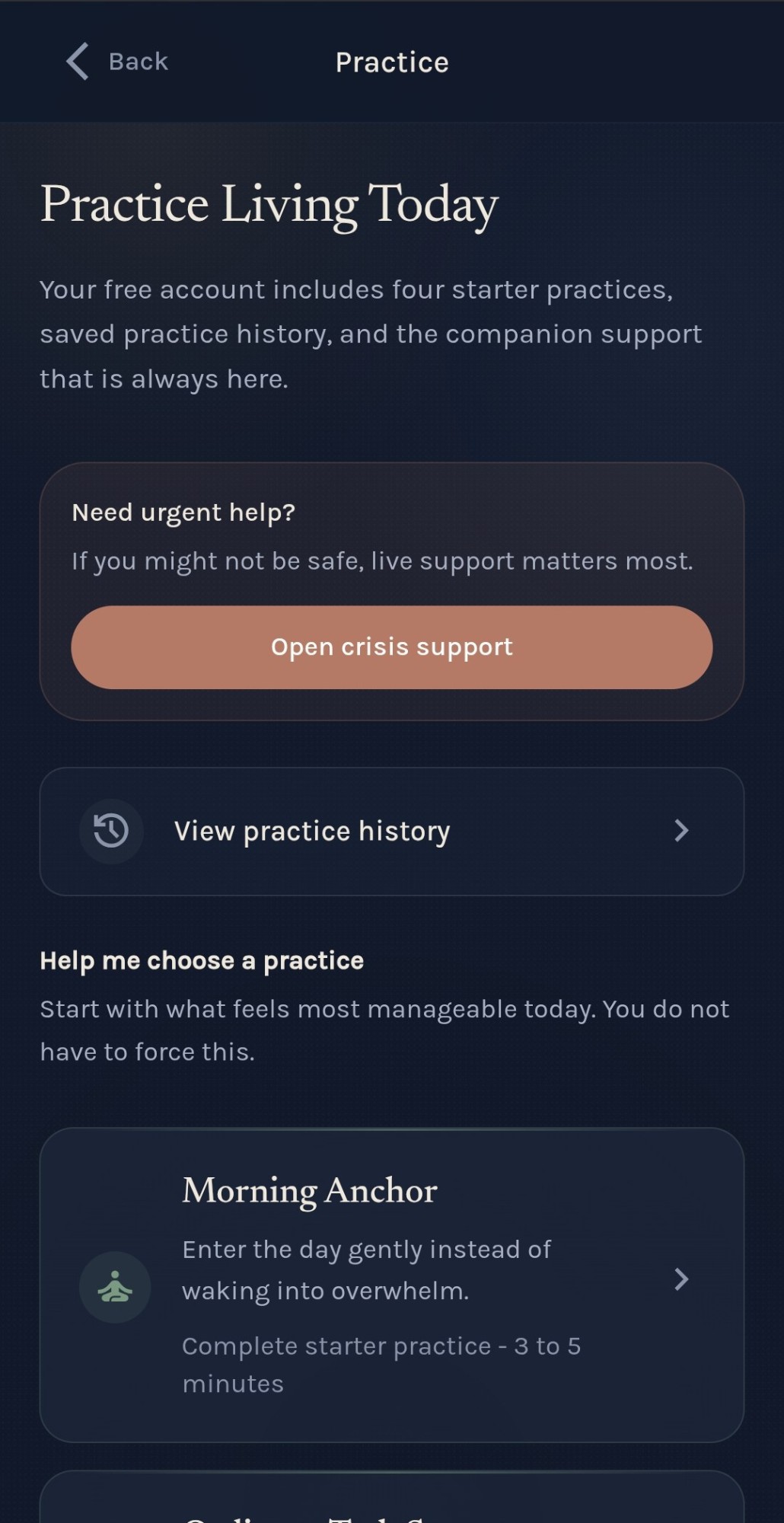 The Practice Living Today dashboard in the WithYou app, showing an Open crisis support button, a View practice history link, and the Morning Anchor starter practice ready to begin.